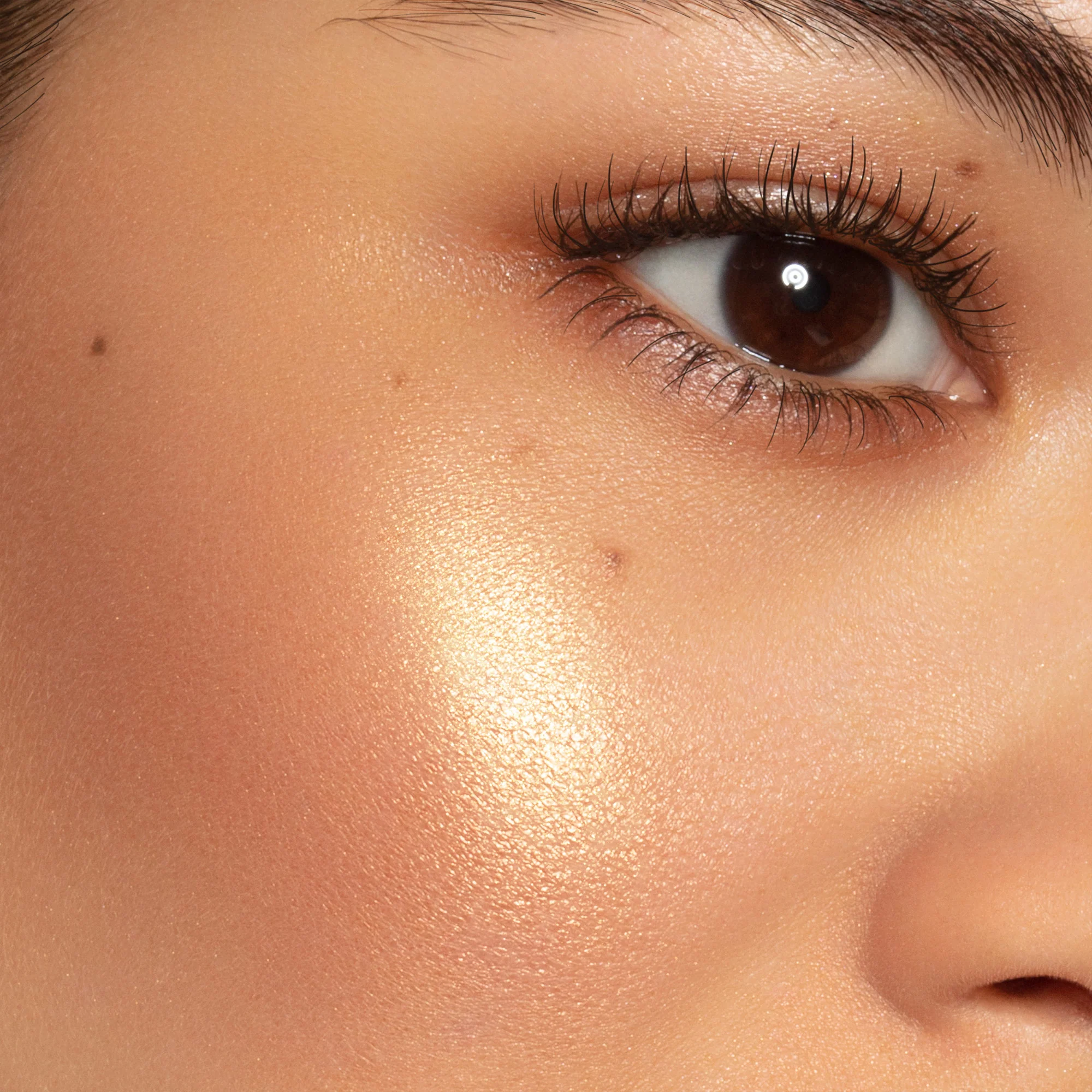 Lynx Powder Blushlight - Image 4