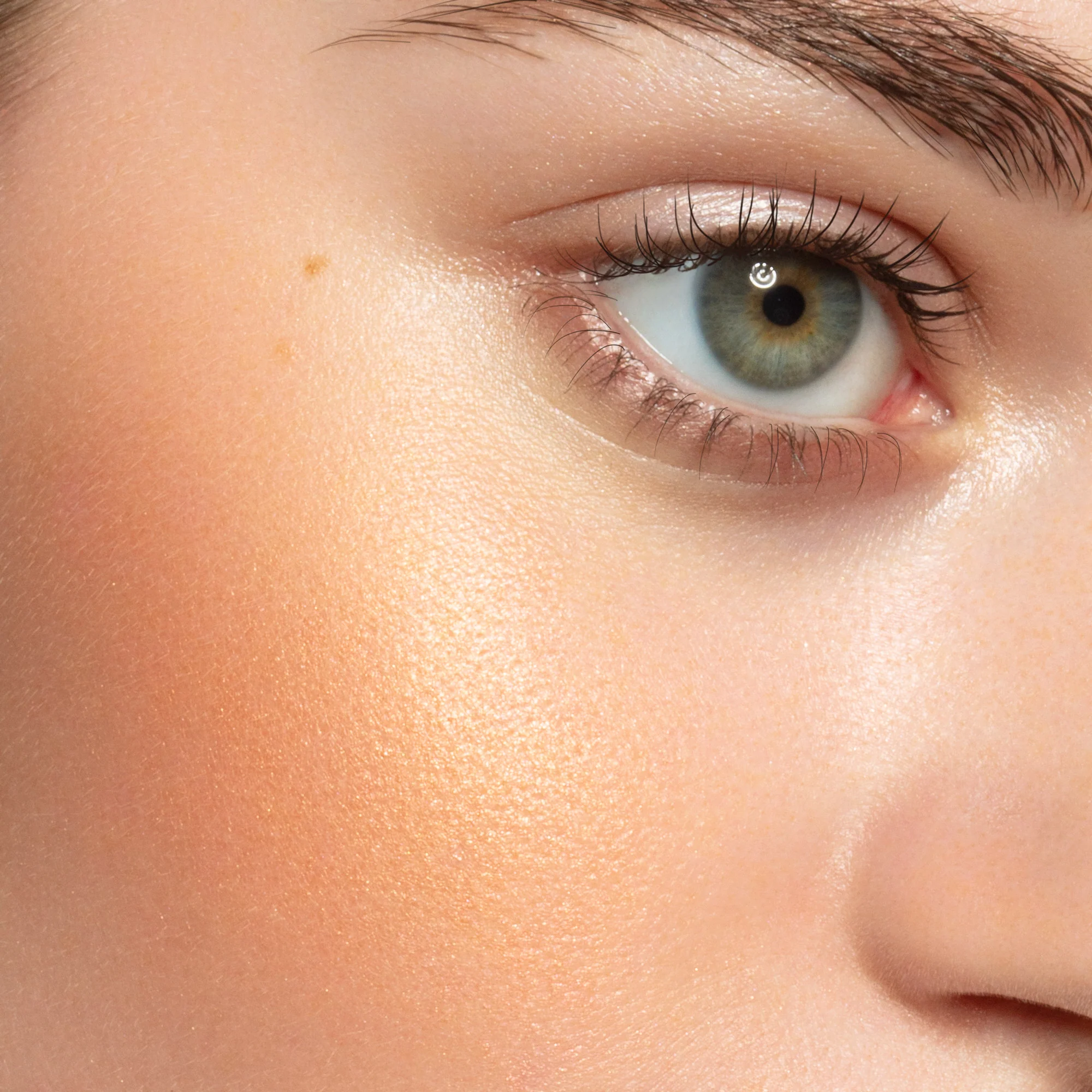 Lynx Powder Blushlight - Image 5